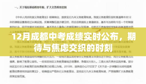 成都中考成绩公布，期待与焦虑的时刻