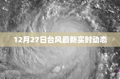 张牙舞爪 第4页