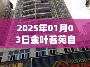 金叶茗苑自由行指南，精选攻略，畅游2025年新年