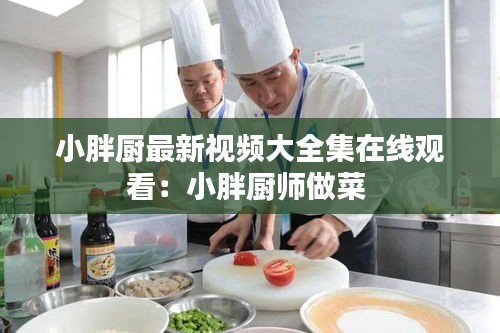 小胖厨最新视频大全集在线观看：小胖厨师做菜 