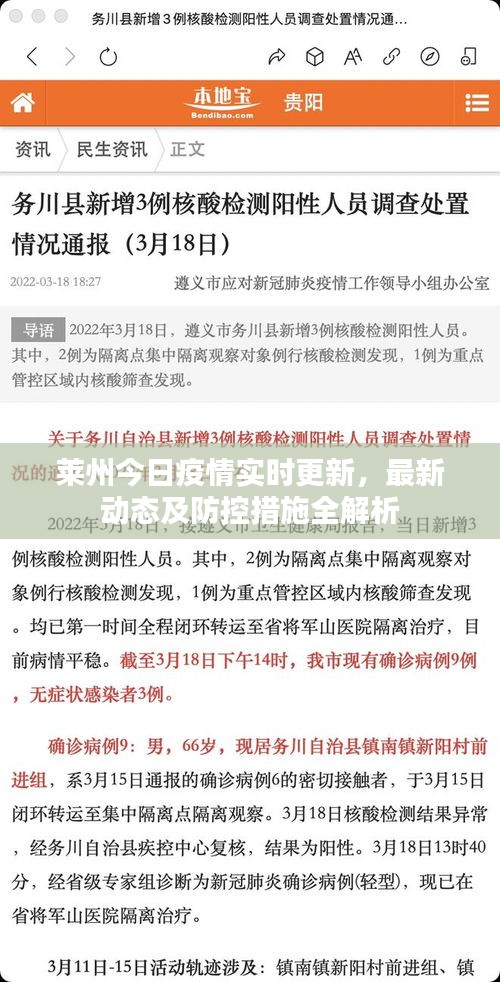 莱州今日疫情实时更新，最新动态及防控措施全解析