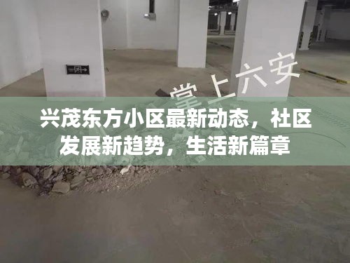 兴茂东方小区最新动态，社区发展新趋势，生活新篇章