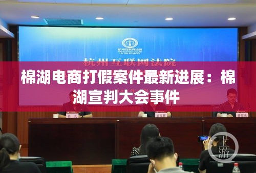 棉湖电商打假案件最新进展：棉湖宣判大会事件 