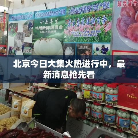 北京今日大集火热进行中，最新消息抢先看