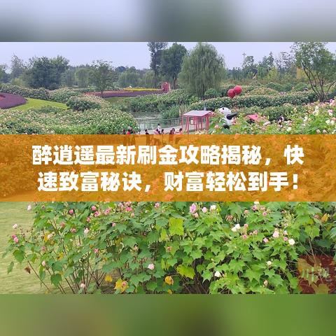 醉逍遥最新刷金攻略揭秘，快速致富秘诀，财富轻松到手！