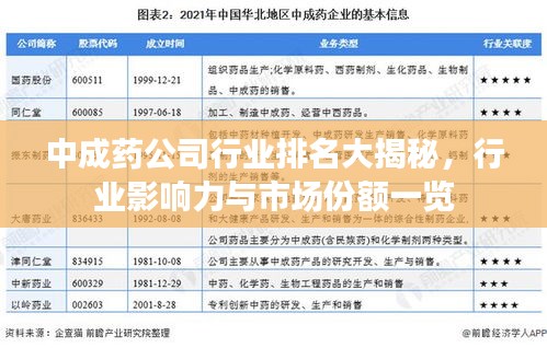 中成药公司行业排名大揭秘，行业影响力与市场份额一览