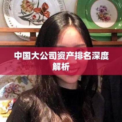 中国大公司资产排名深度解析