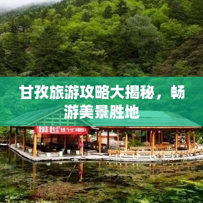 一花独放 第2页