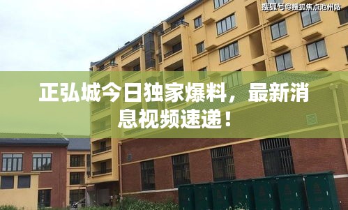正弘城今日独家爆料，最新消息视频速递！