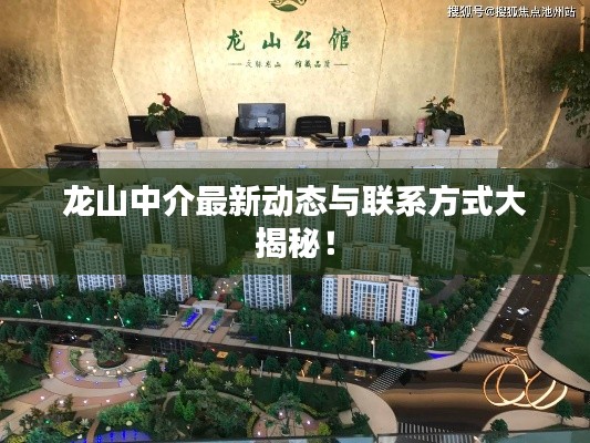 龙山中介最新动态与联系方式大揭秘！