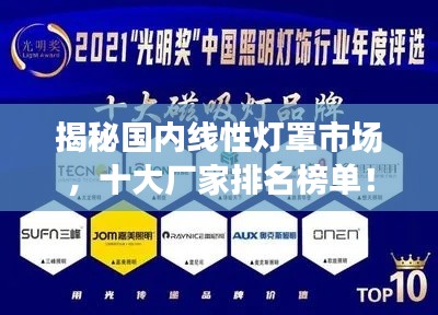 揭秘国内线性灯罩市场，十大厂家排名榜单！