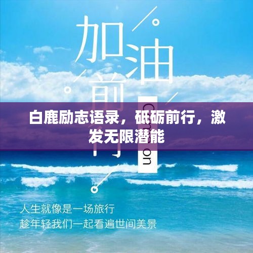 白鹿励志语录，砥砺前行，激发无限潜能