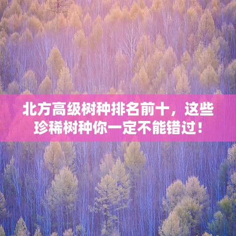 北方高级树种排名前十，这些珍稀树种你一定不能错过！