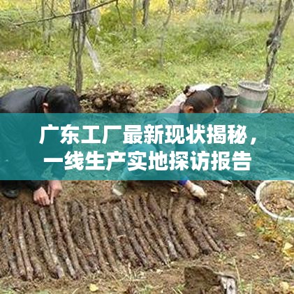 广东工厂最新现状揭秘，一线生产实地探访报告
