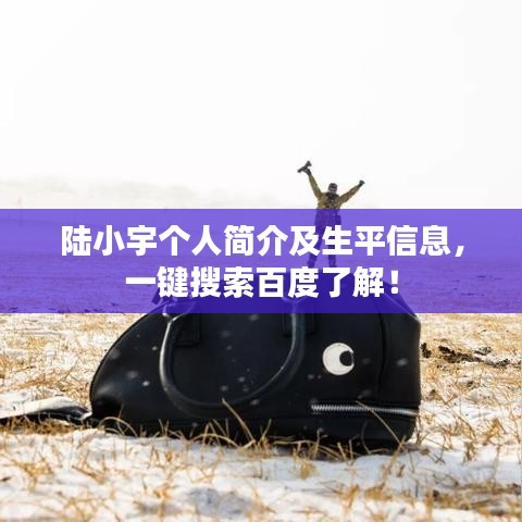 陆小宇个人简介及生平信息，一键搜索百度了解！