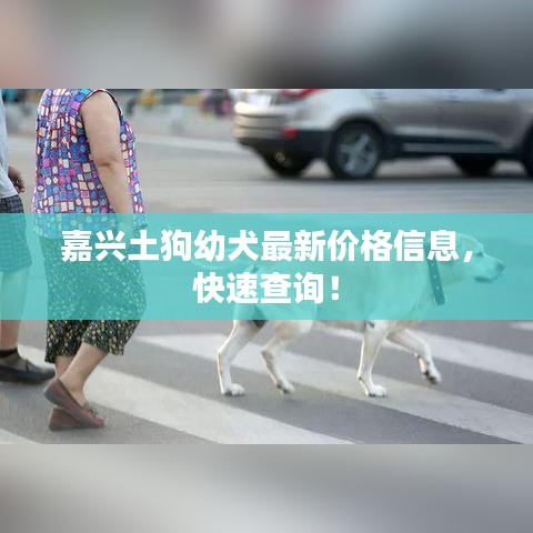 解决方案 第54页