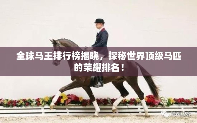 产品知识 第41页