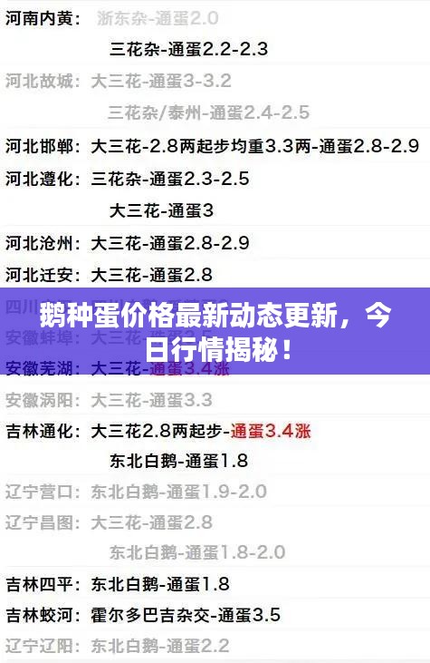 鹅种蛋价格最新动态更新，今日行情揭秘！