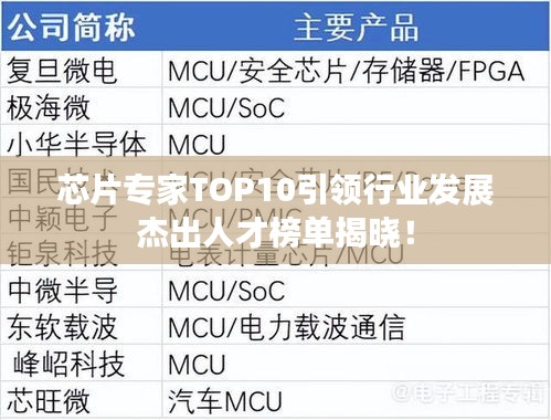 芯片专家TOP10引领行业发展杰出人才榜单揭晓！