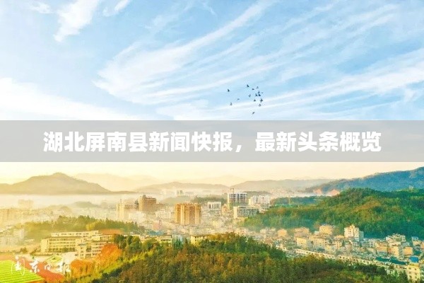 湖北屏南县新闻快报，最新头条概览
