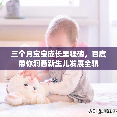 三个月宝宝成长里程碑，百度带你洞悉新生儿发展全貌