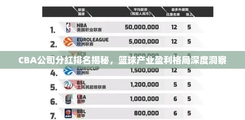 CBA公司分红排名揭秘，篮球产业盈利格局深度洞察