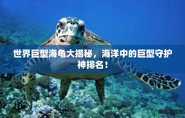 漫天飞舞