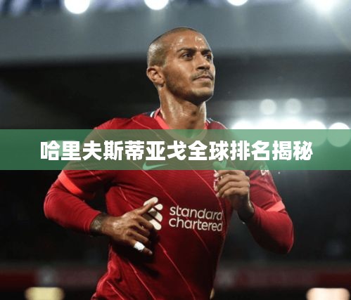 哈里夫斯蒂亚戈全球排名揭秘