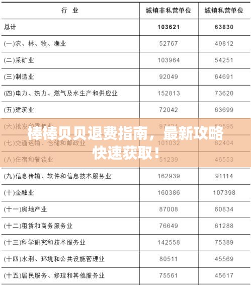棒棒贝贝退费指南，最新攻略快速获取！