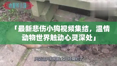 2025年4月 第142页