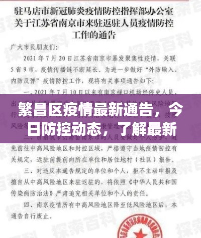 凤凰于飞