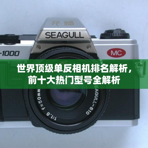 眼张失道