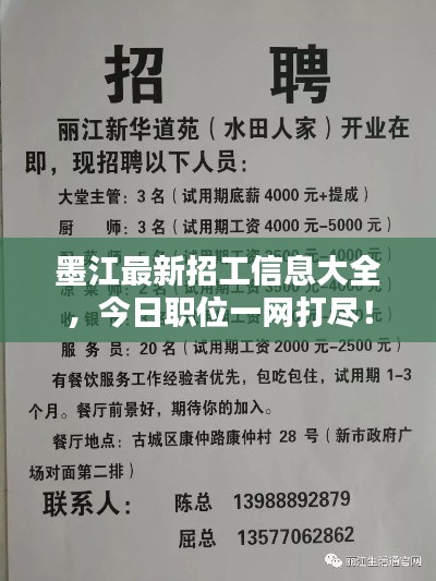 毛手毛脚