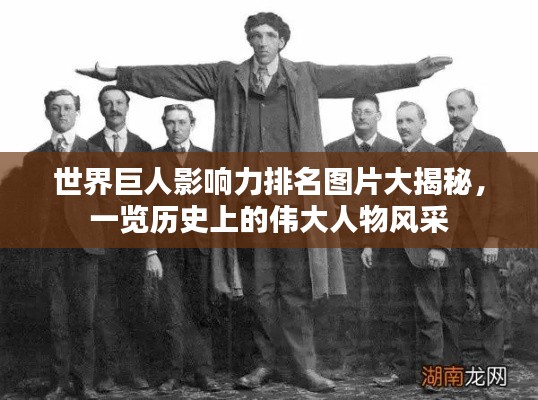 产品中心 第15页
