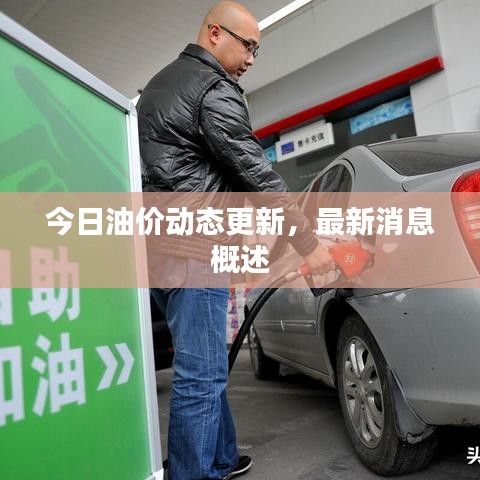 夯雀儿先飞