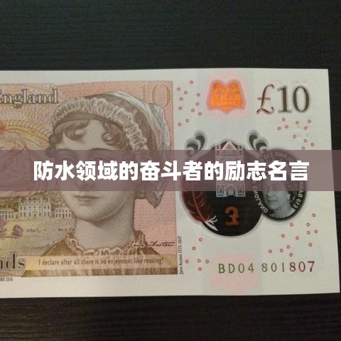 防水领域的奋斗者的励志名言