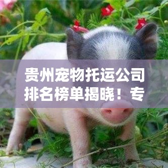 钝学累功