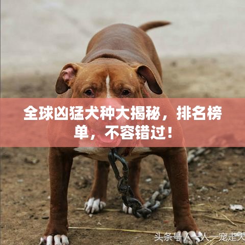 异口同声