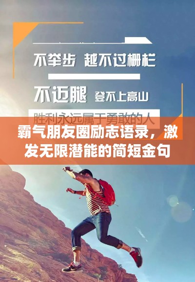 不求甚解