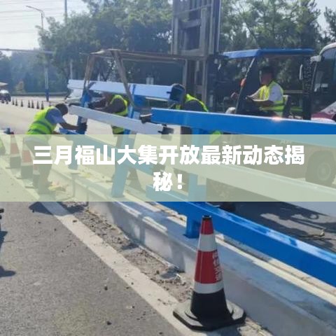 小鸟伊人