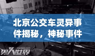 鸟飞兔走