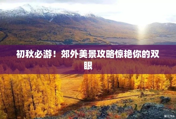德才兼备