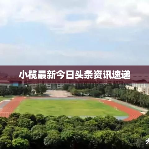 靡颜腻理