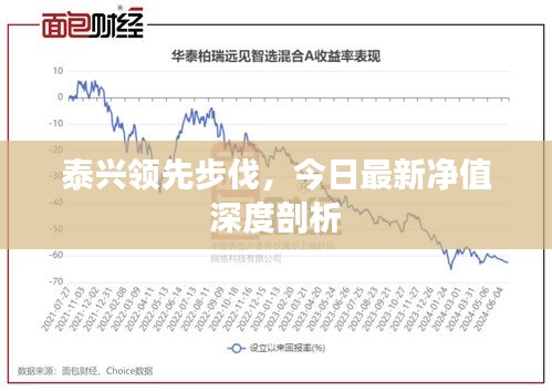 泰兴领先步伐，今日最新净值深度剖析