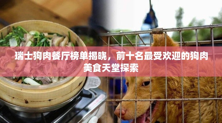 2025年5月 第3页