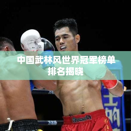 中国武林风世界冠军榜单排名揭晓