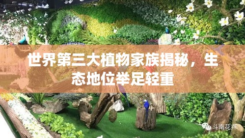 世界第三大植物家族揭秘，生态地位举足轻重