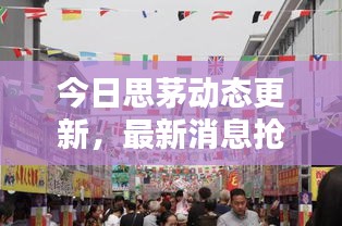今日思茅动态更新，最新消息抢先看