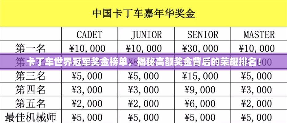 卡丁车世界冠军奖金榜单，揭秘高额奖金背后的荣耀排名！