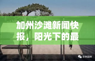 加州沙滩新闻快报，阳光下的最新动态揭秘